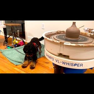 Coonio’s collection